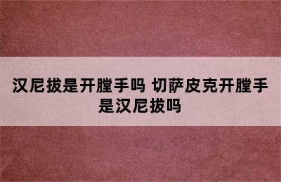 汉尼拔是开膛手吗 切萨皮克开膛手是汉尼拔吗